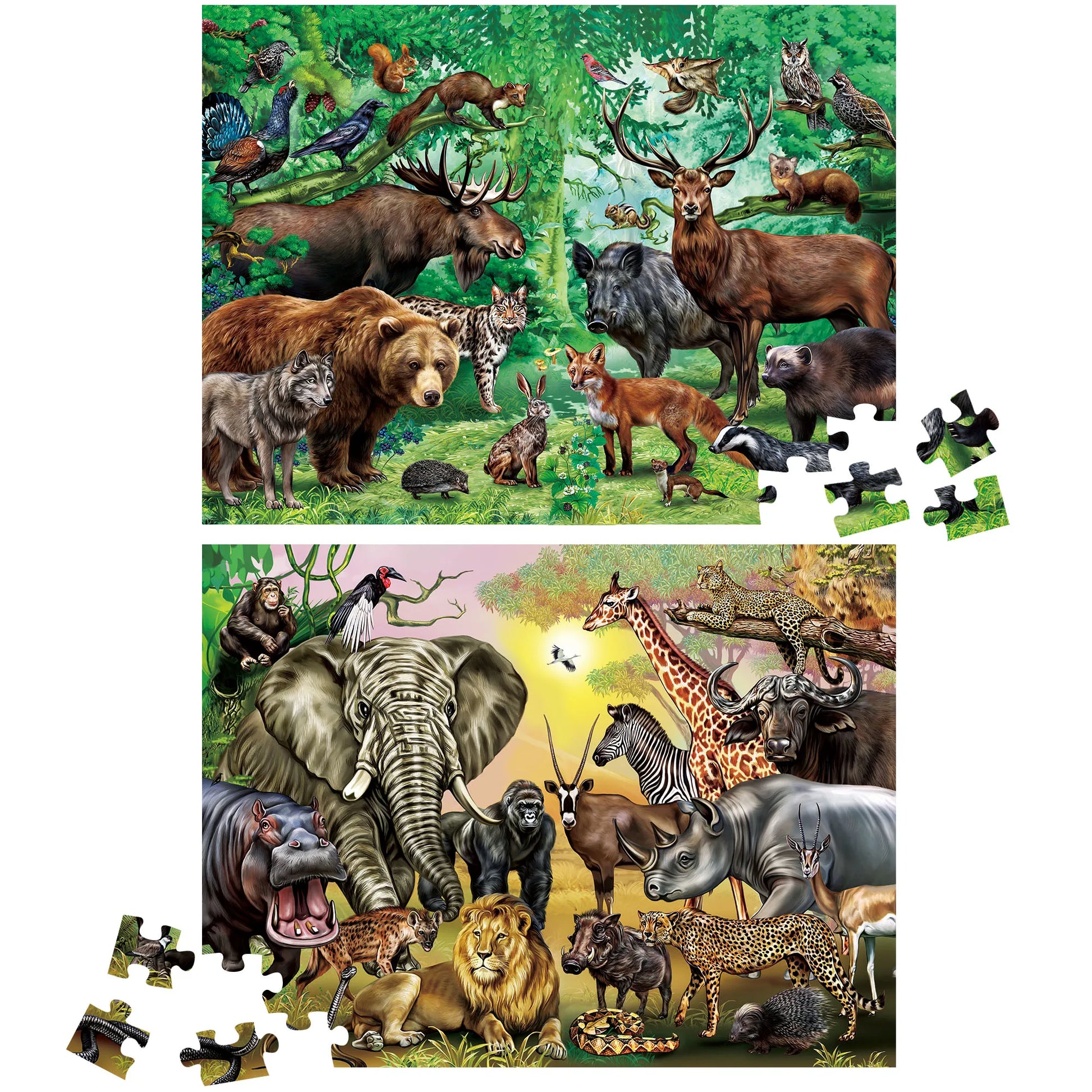Puzzles for Kids Ages, Double Sided 100 Piece Puzzles, 2 in 1 Puzzle, Wild Animals, Learning Educational Jigsaw Puzzles Toys